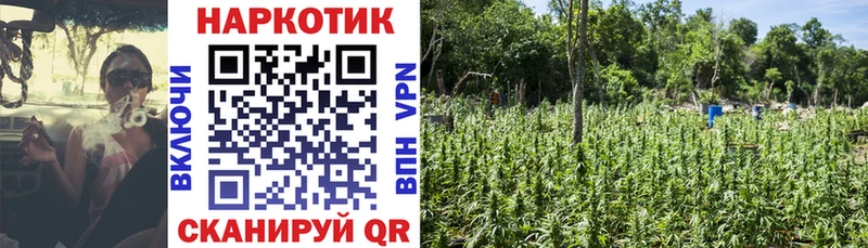 Купить закладку КОКАИН  Альфа ПВП  ГЕРОИН  Мефедрон  АМФ  Сясьстрой