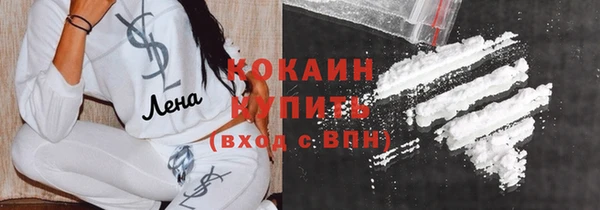 гашик Вязьма