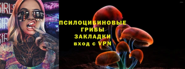 стаф Володарск