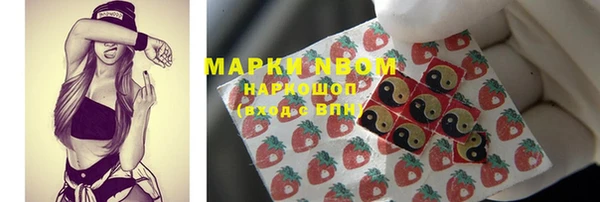 стаф Володарск