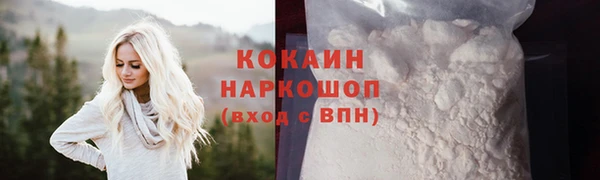 стаф Володарск
