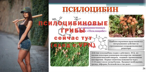 стаф Володарск
