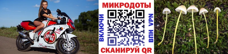 Купить где  Сясьстрой  Галлюциногенные грибы Magic Shrooms 